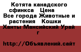 Котята канадского сфинкса › Цена ­ 15 - Все города Животные и растения » Кошки   . Ханты-Мансийский,Урай г.